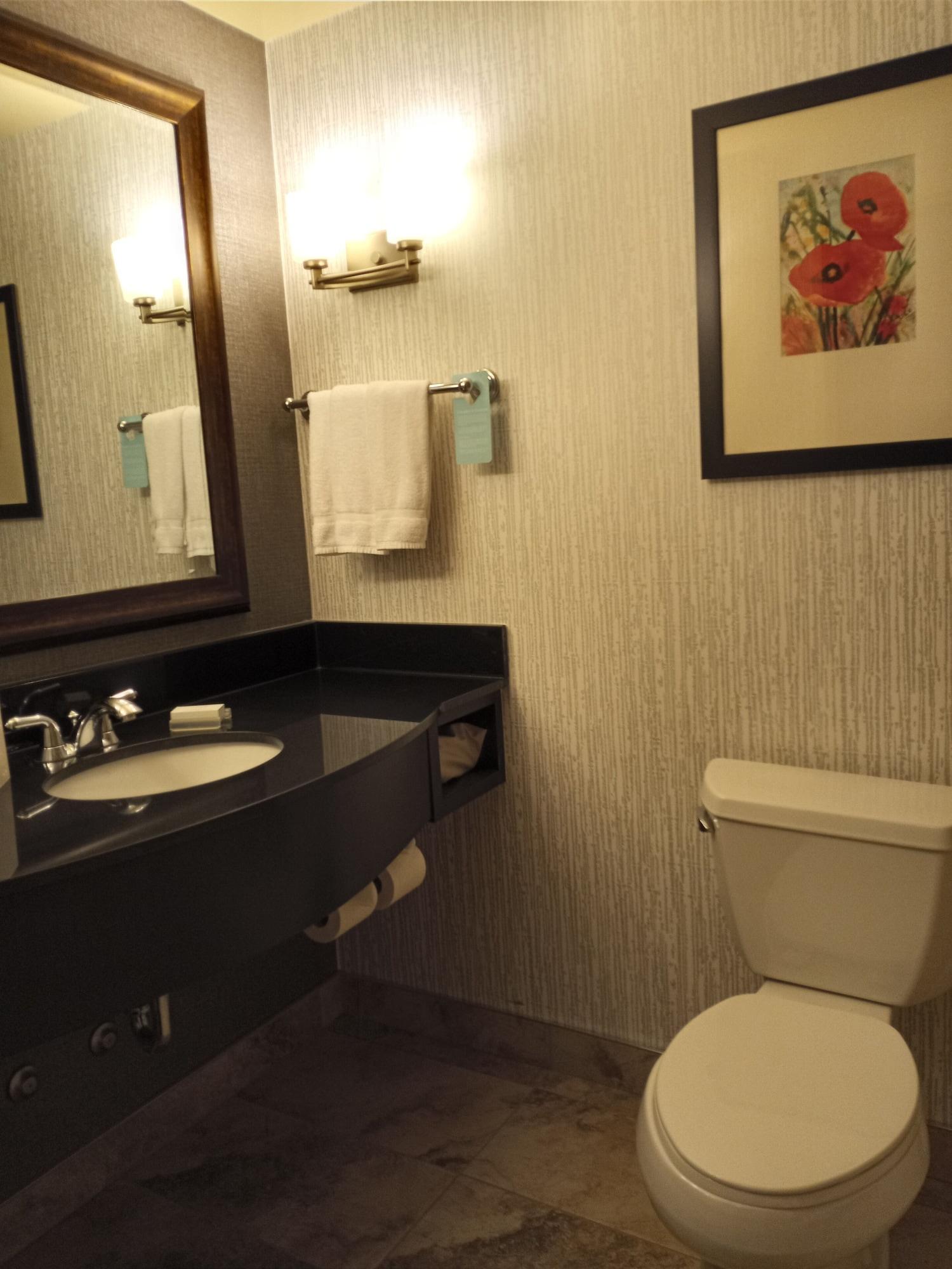 Hilton Garden Inn Calgary Airport Eksteriør bilde